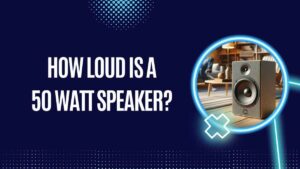 50 watt speaker loudness